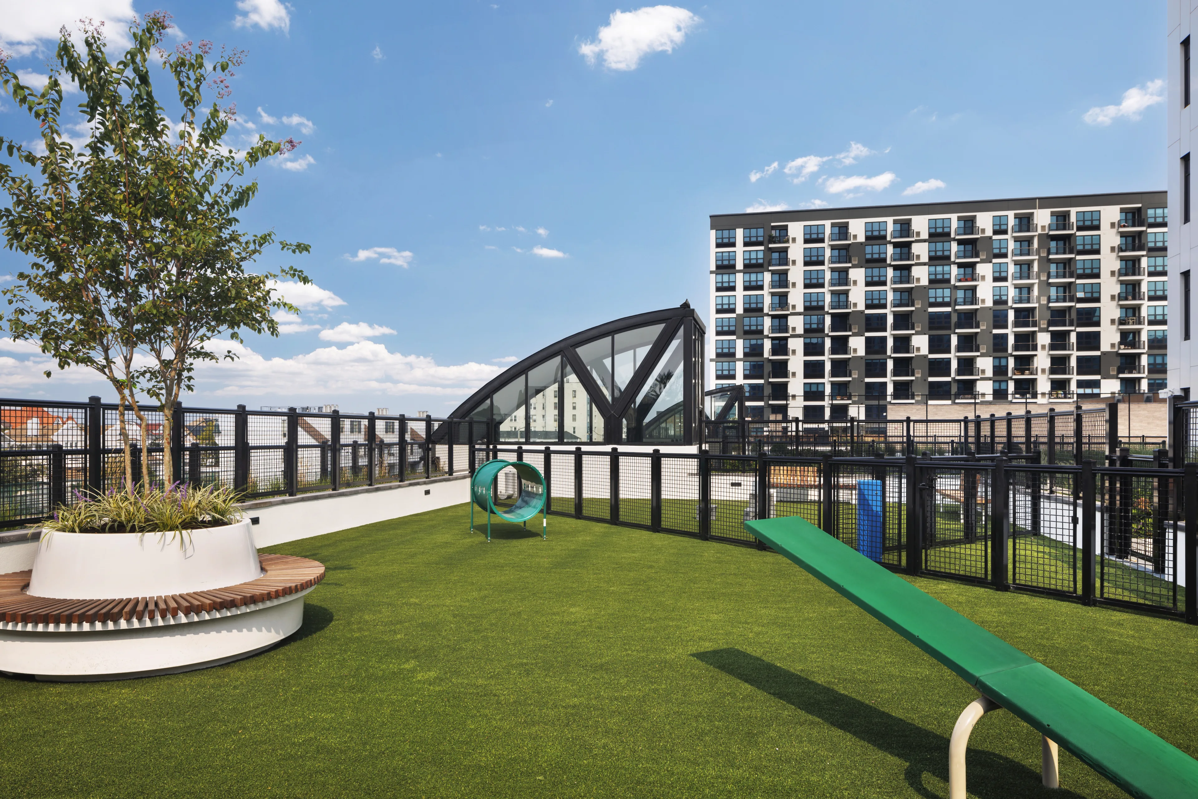 Outdoor pet area with agility equipment at modern apartment community